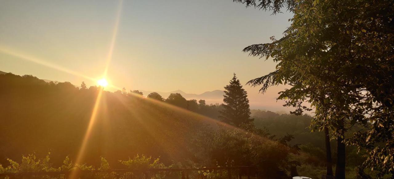 "Il Casaletto" Agriturismo Moderno, Vista Panoramica E Cibo Spettacolare- Scurcola Marsicana Kültér fotó