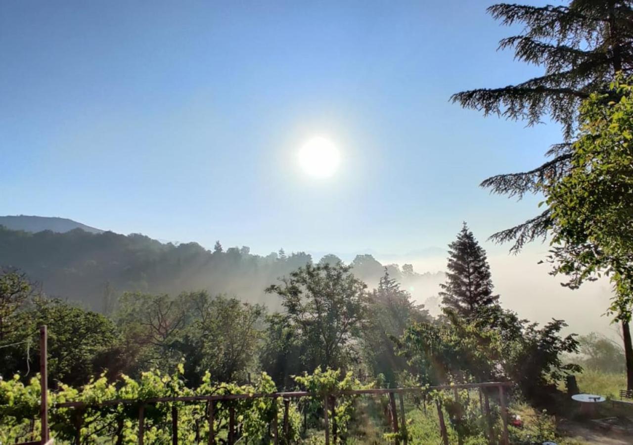 "Il Casaletto" Agriturismo Moderno, Vista Panoramica E Cibo Spettacolare- Scurcola Marsicana Kültér fotó