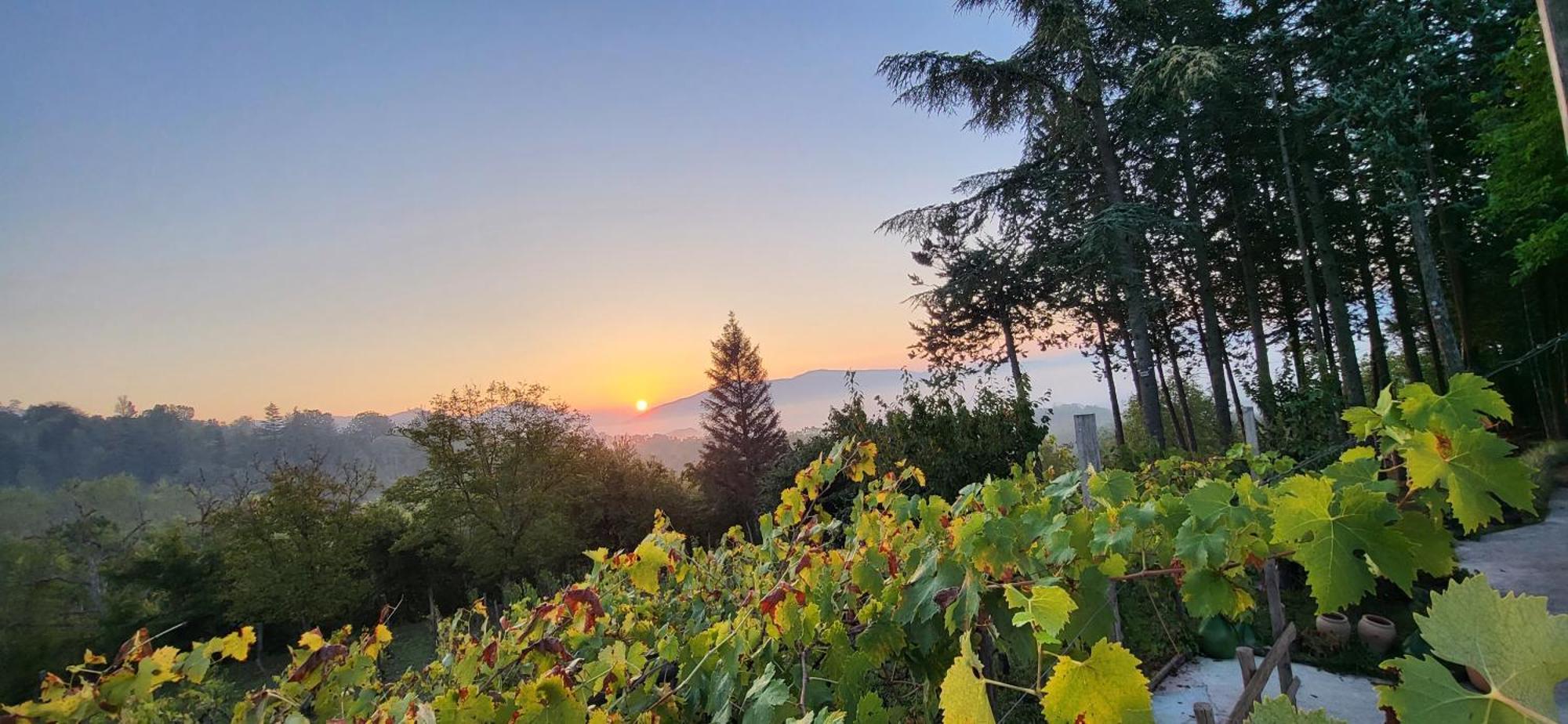 "Il Casaletto" Agriturismo Moderno, Vista Panoramica E Cibo Spettacolare- Scurcola Marsicana Villa Kültér fotó