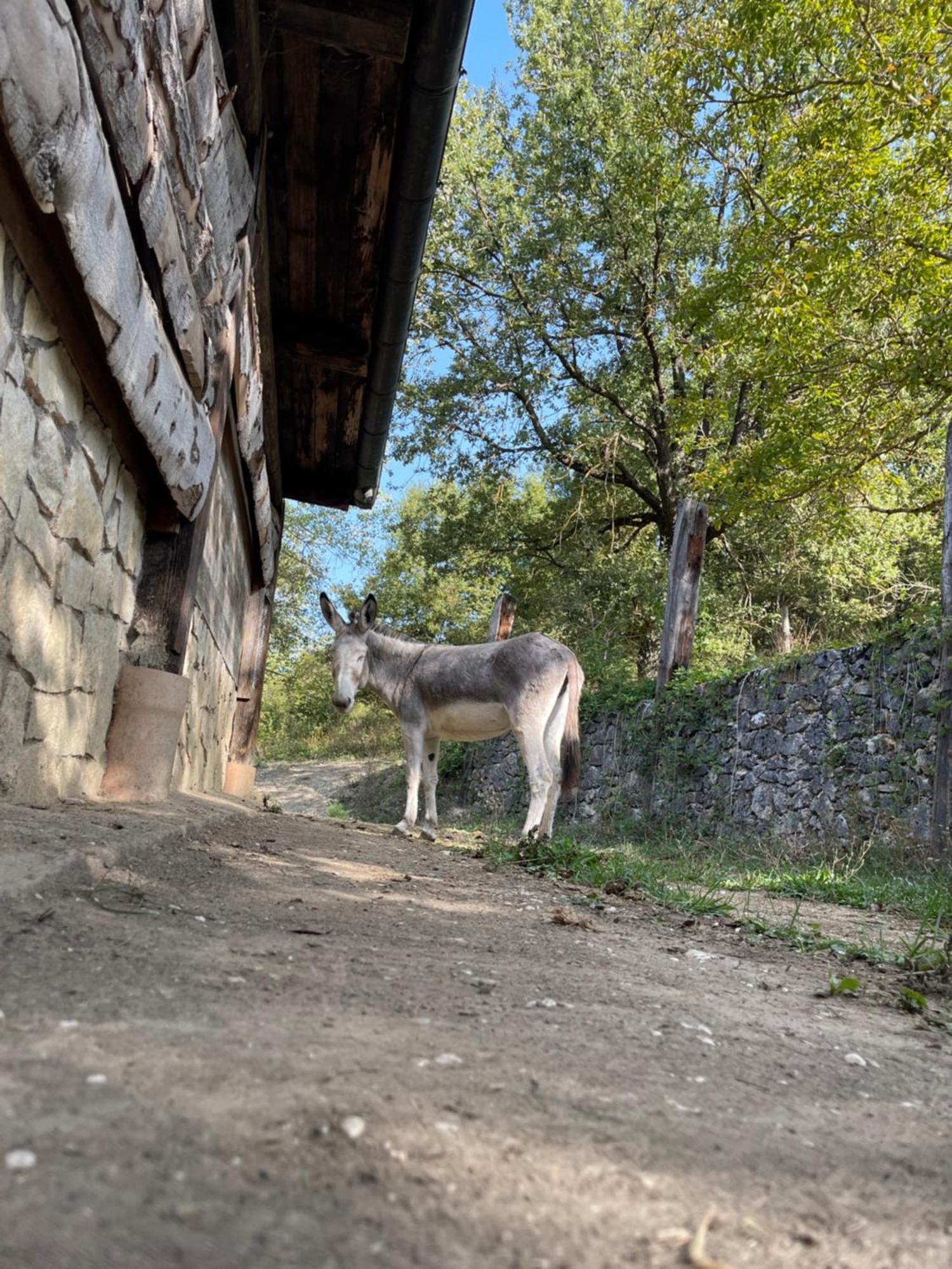 "Il Casaletto" Agriturismo Moderno, Vista Panoramica E Cibo Spettacolare- Scurcola Marsicana Kültér fotó