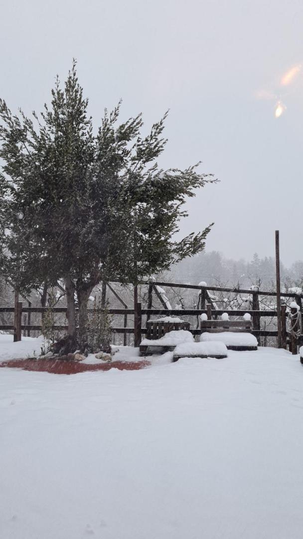 "Il Casaletto" Agriturismo Moderno, Vista Panoramica E Cibo Spettacolare- Scurcola Marsicana Villa Kültér fotó